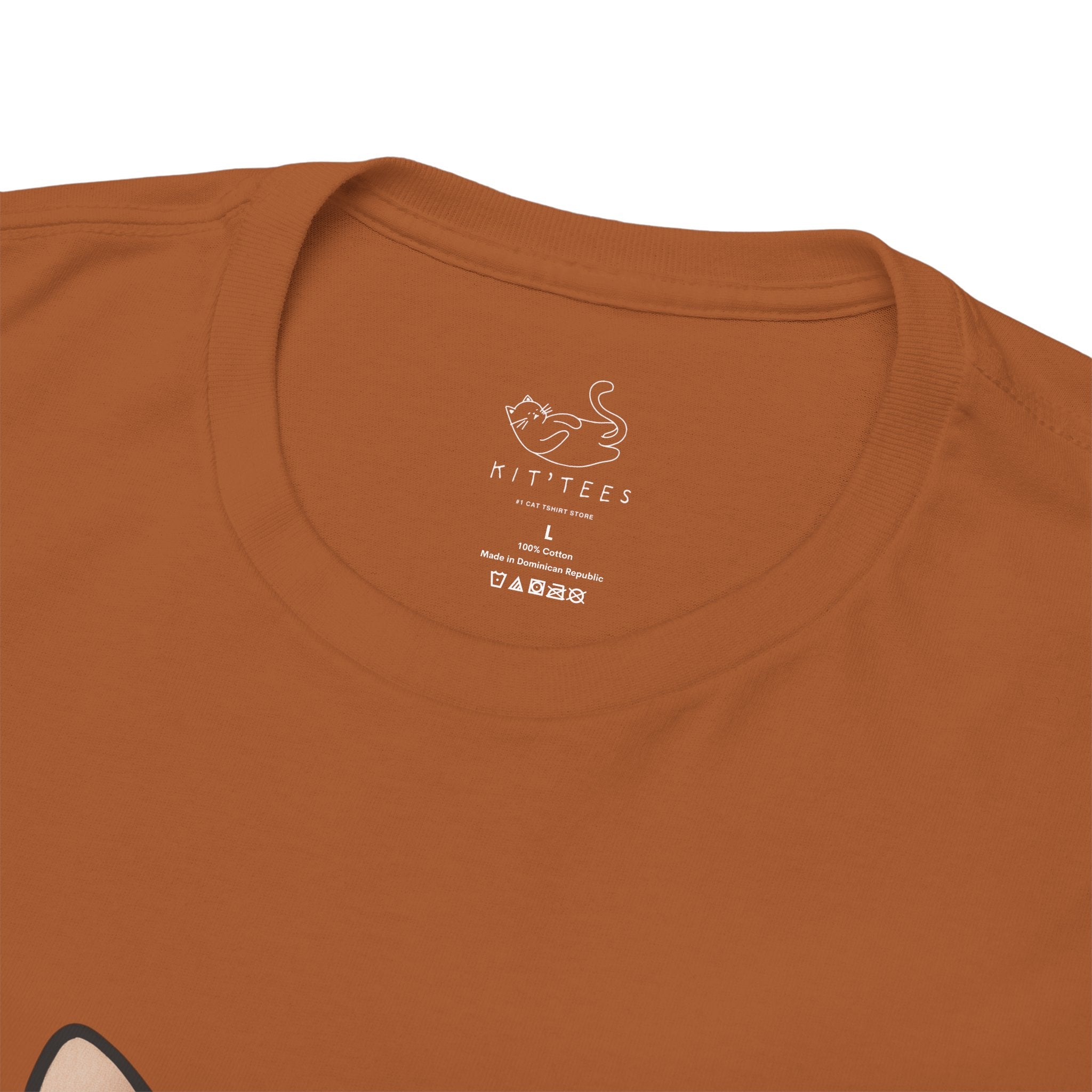 Colored Glass Cat T-Shirt — Artsy Cat Graphic Tee